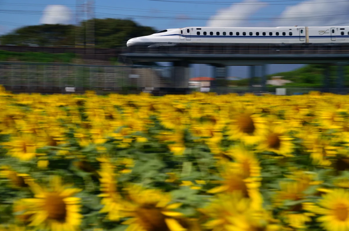 投稿写真：夏の疾走