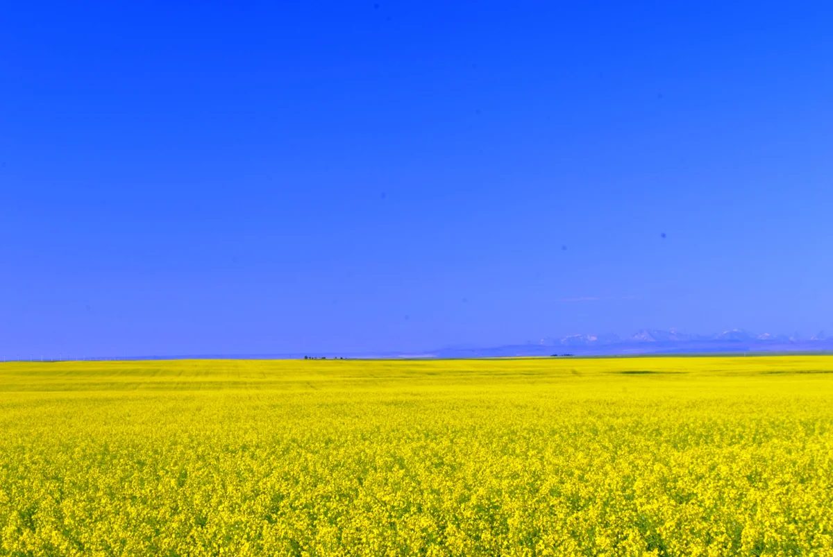 おいどん謙ちゃんさんの投稿写真