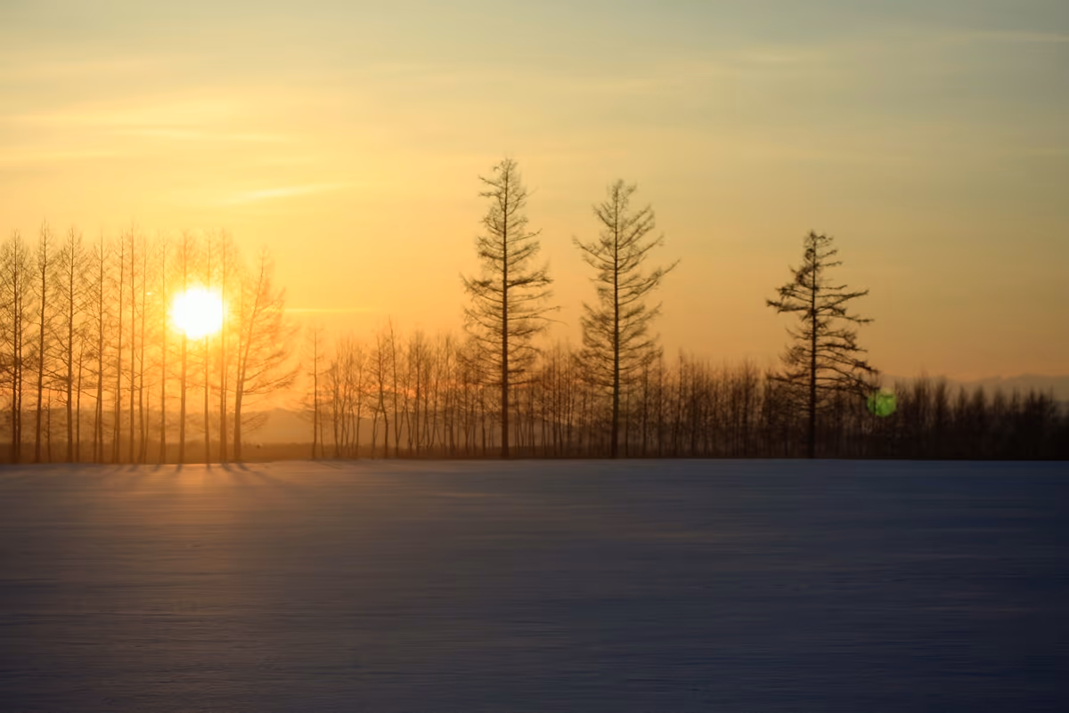 投稿写真：北の夕陽