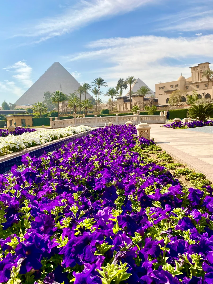 投稿写真：この景色での朝食は最高でした🍴