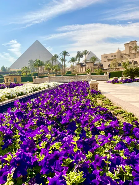 投稿：この景色での朝食は最高でした🍴