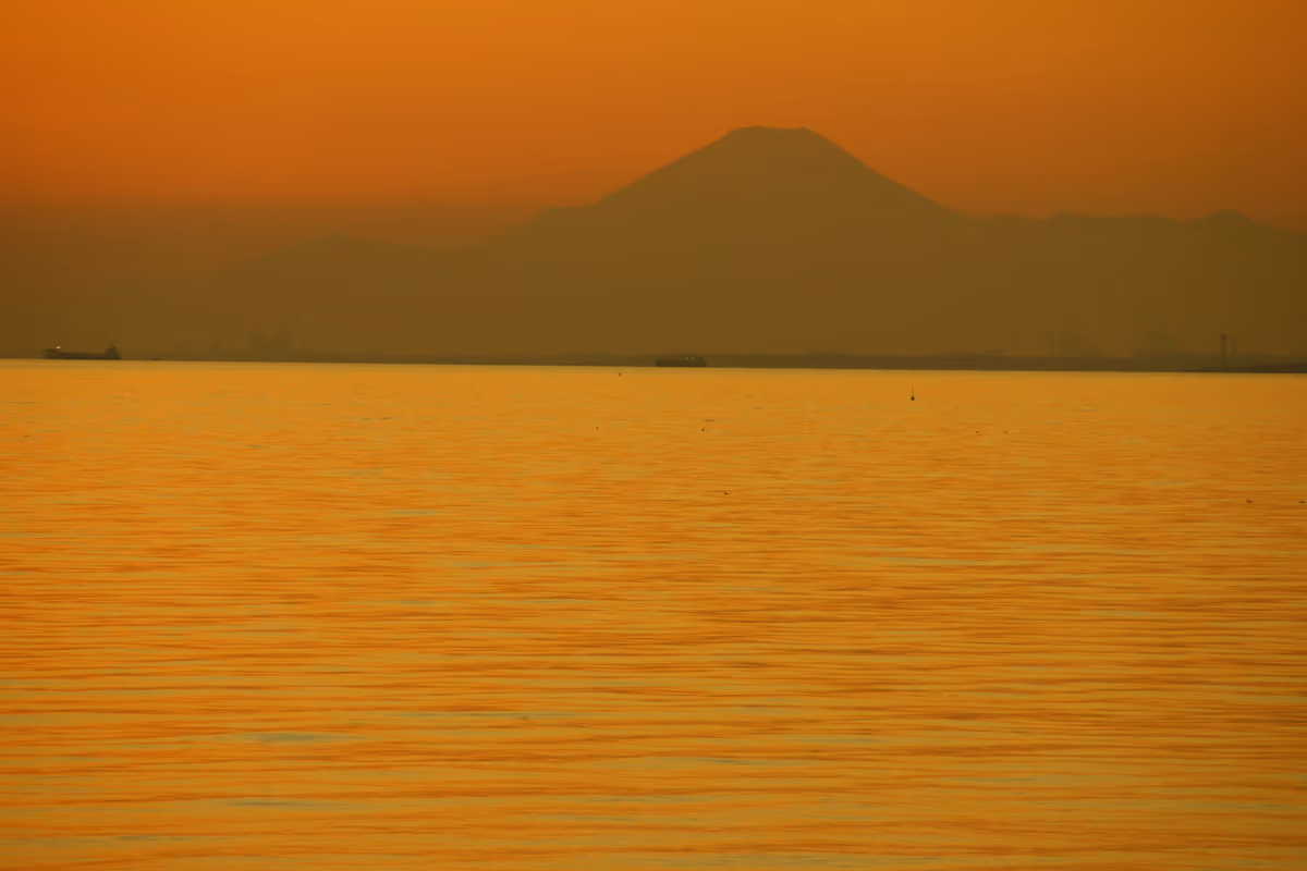 投稿写真：海浜幕張から見える黄金の海と富士山