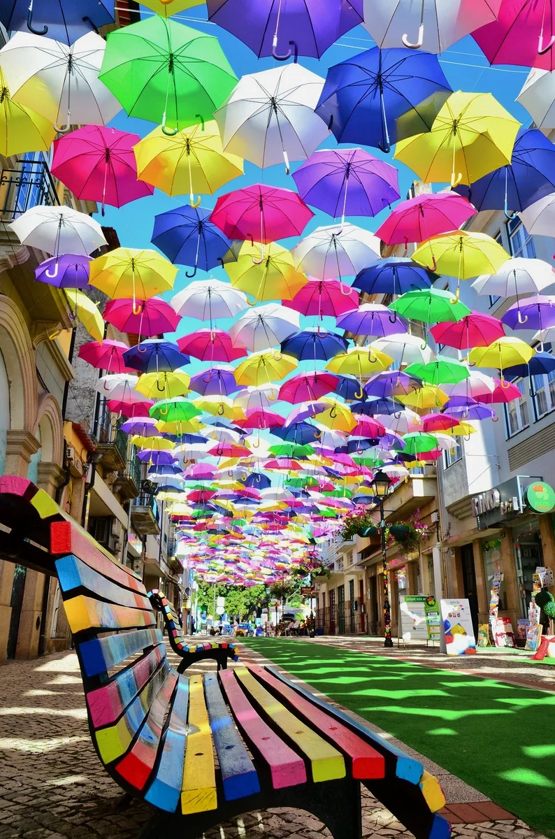 投稿写真：Umbrella Dky Project