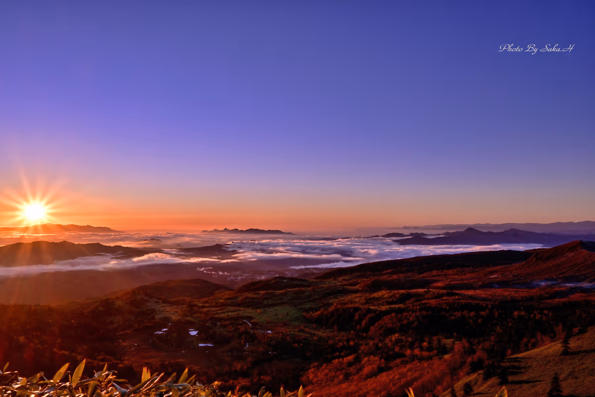 投稿写真：紅葉と雲海
