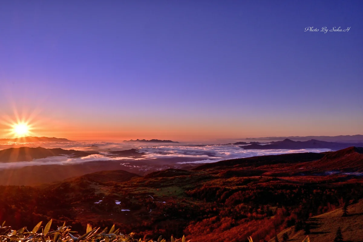 投稿写真：紅葉と雲海
