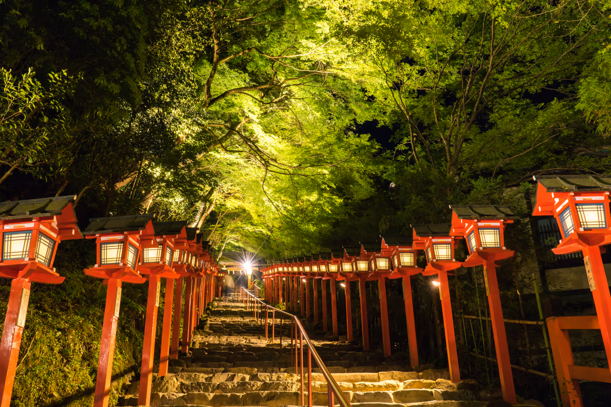 投稿写真：新緑の貴船神社ライトアップ