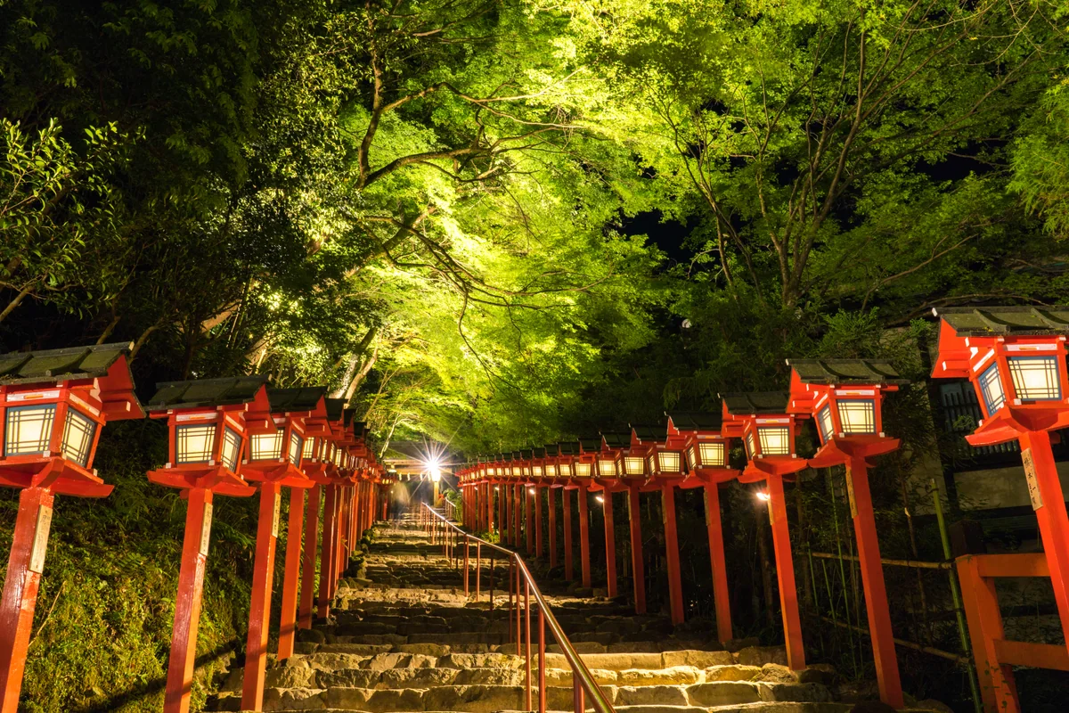 投稿写真：新緑の貴船神社ライトアップ