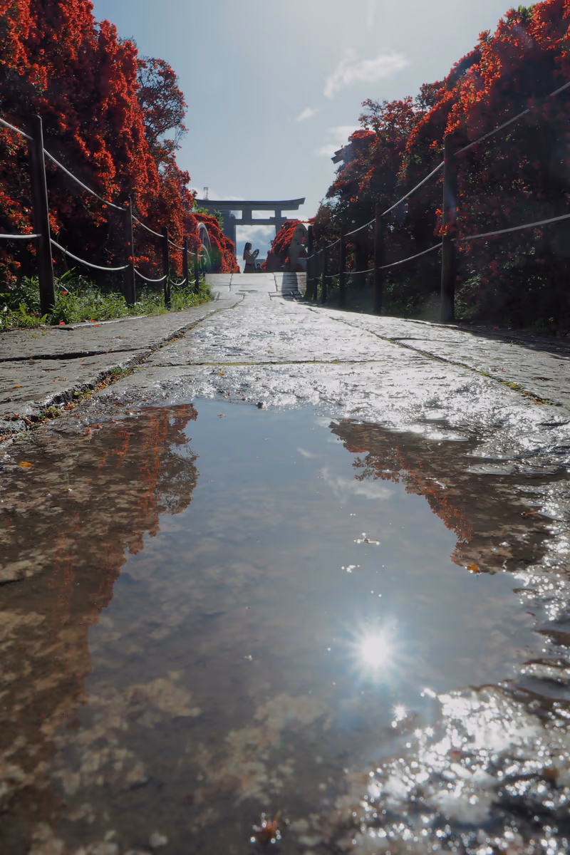 投稿写真：長岡天神　ツツジの散歩道