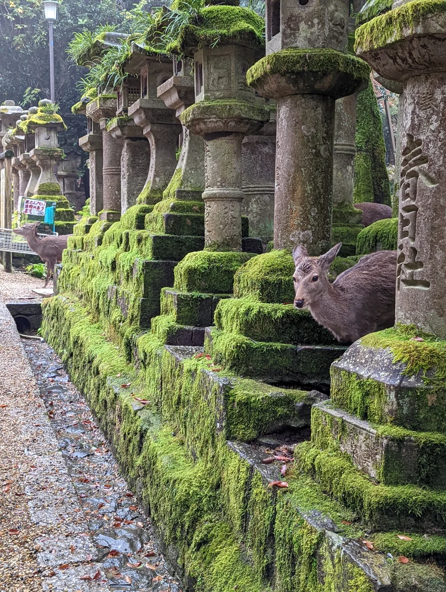 なおさんの投稿写真