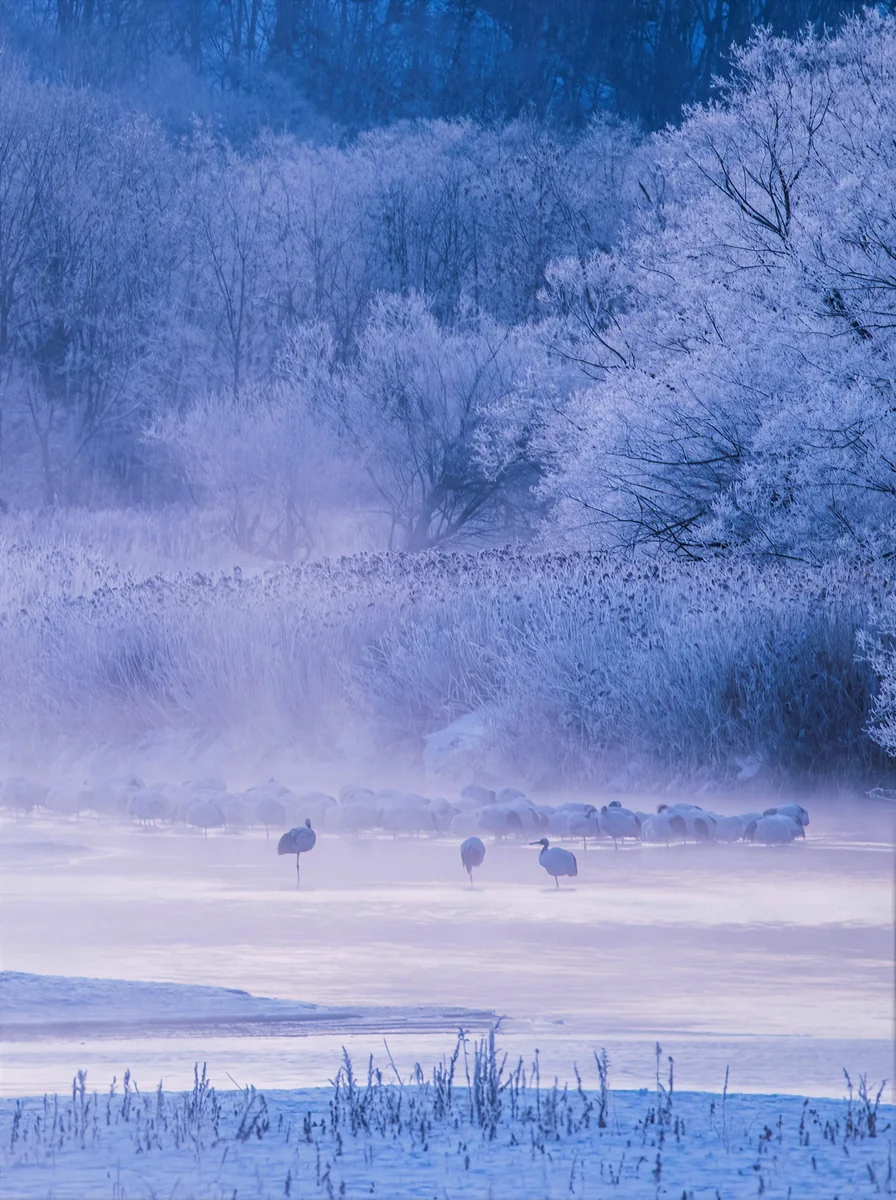 投稿写真：目覚めの刻