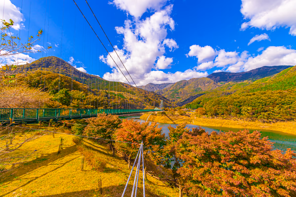 投稿写真：秋のもみじ谷大吊橋