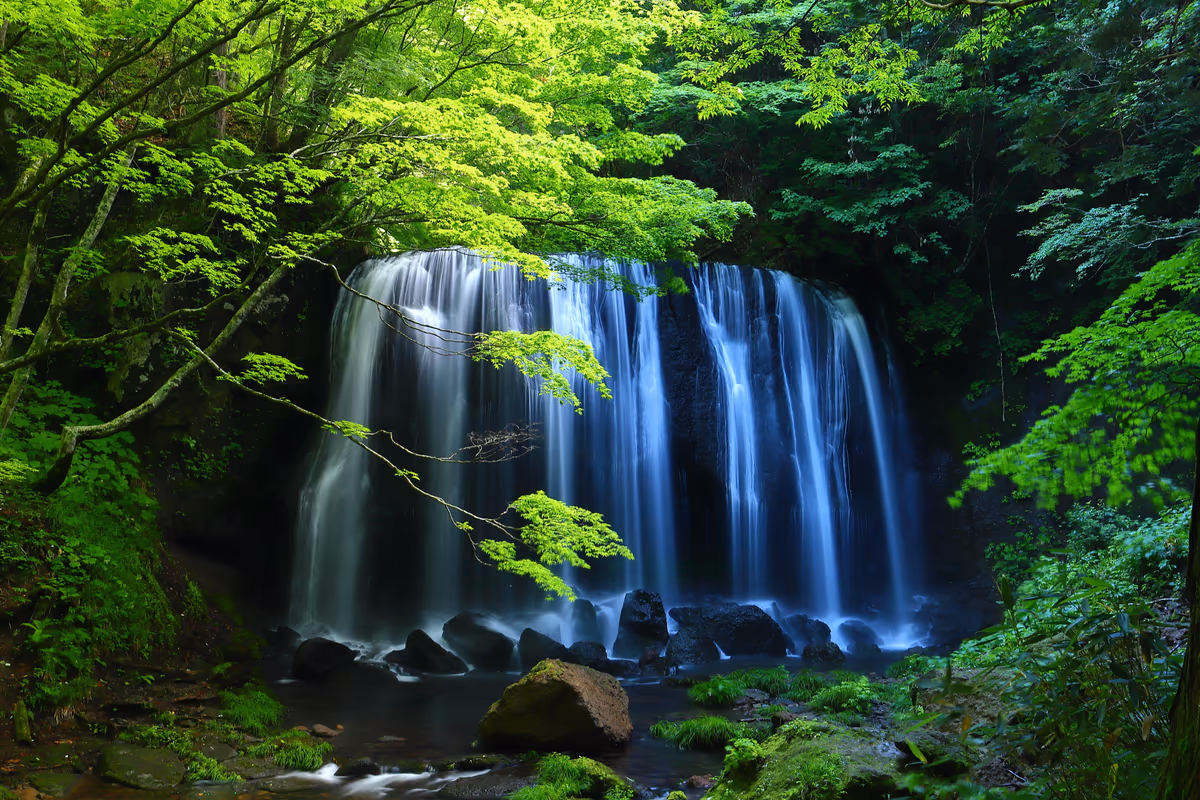 投稿写真：達沢不動滝