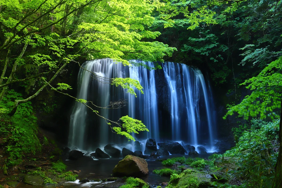 投稿写真：達沢不動滝