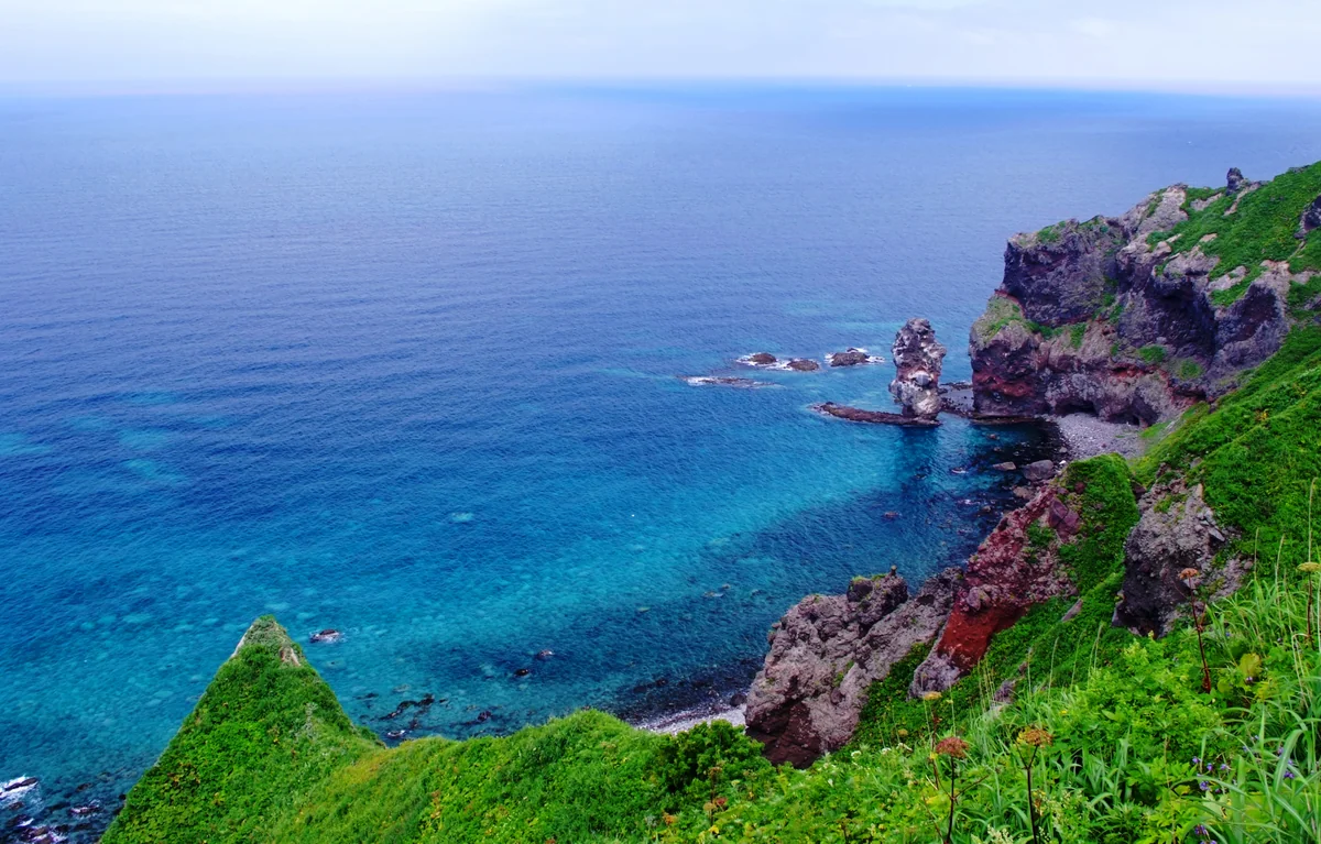 投稿写真：神威岬の夏