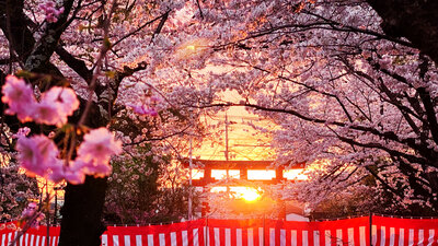  | 絶景事典