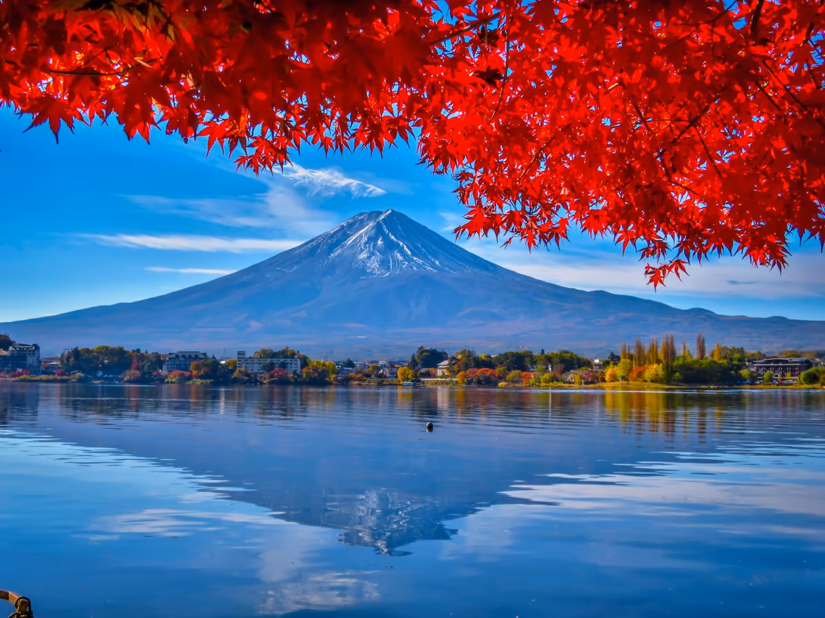 投稿写真：紅葉逆さ富士