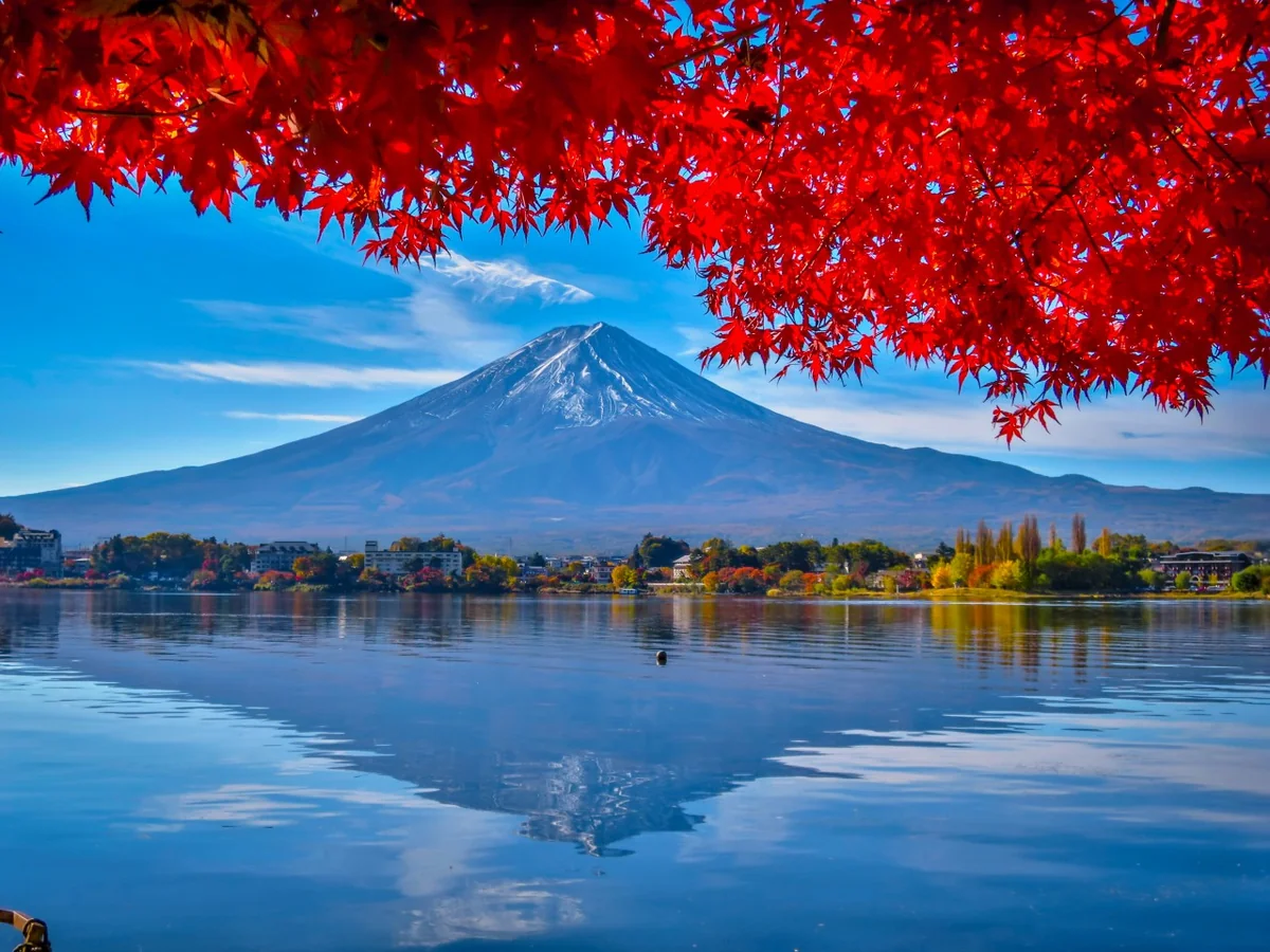 投稿写真：紅葉逆さ富士