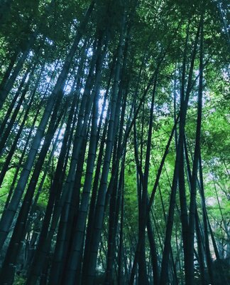  | 絶景事典