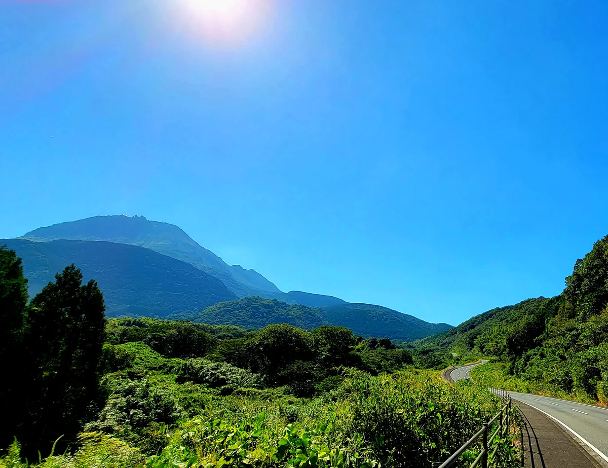 投稿写真：くねくね続く道