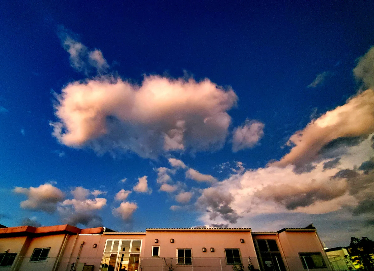 投稿写真：夕暮れ