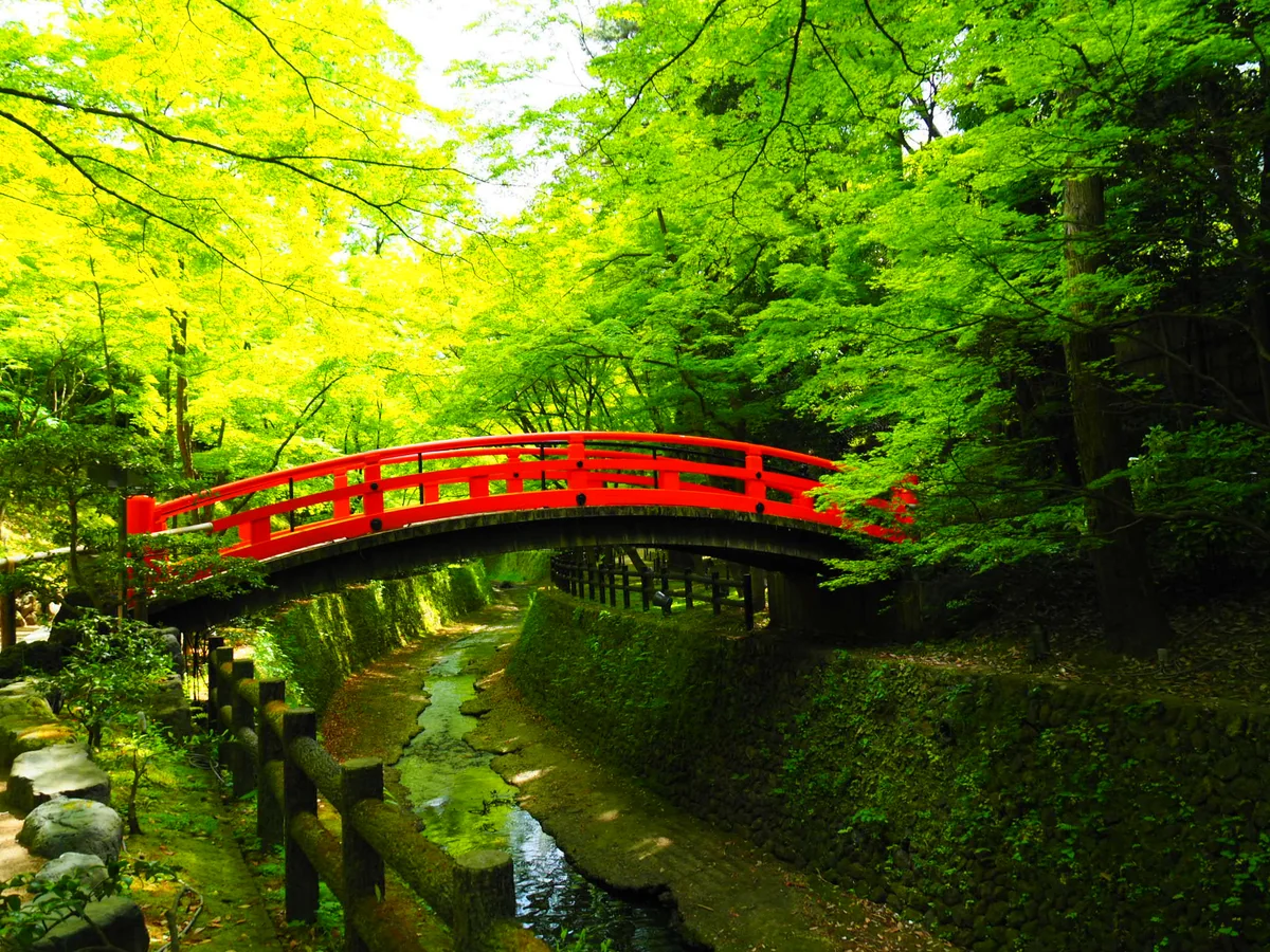 投稿写真：北野天満宮