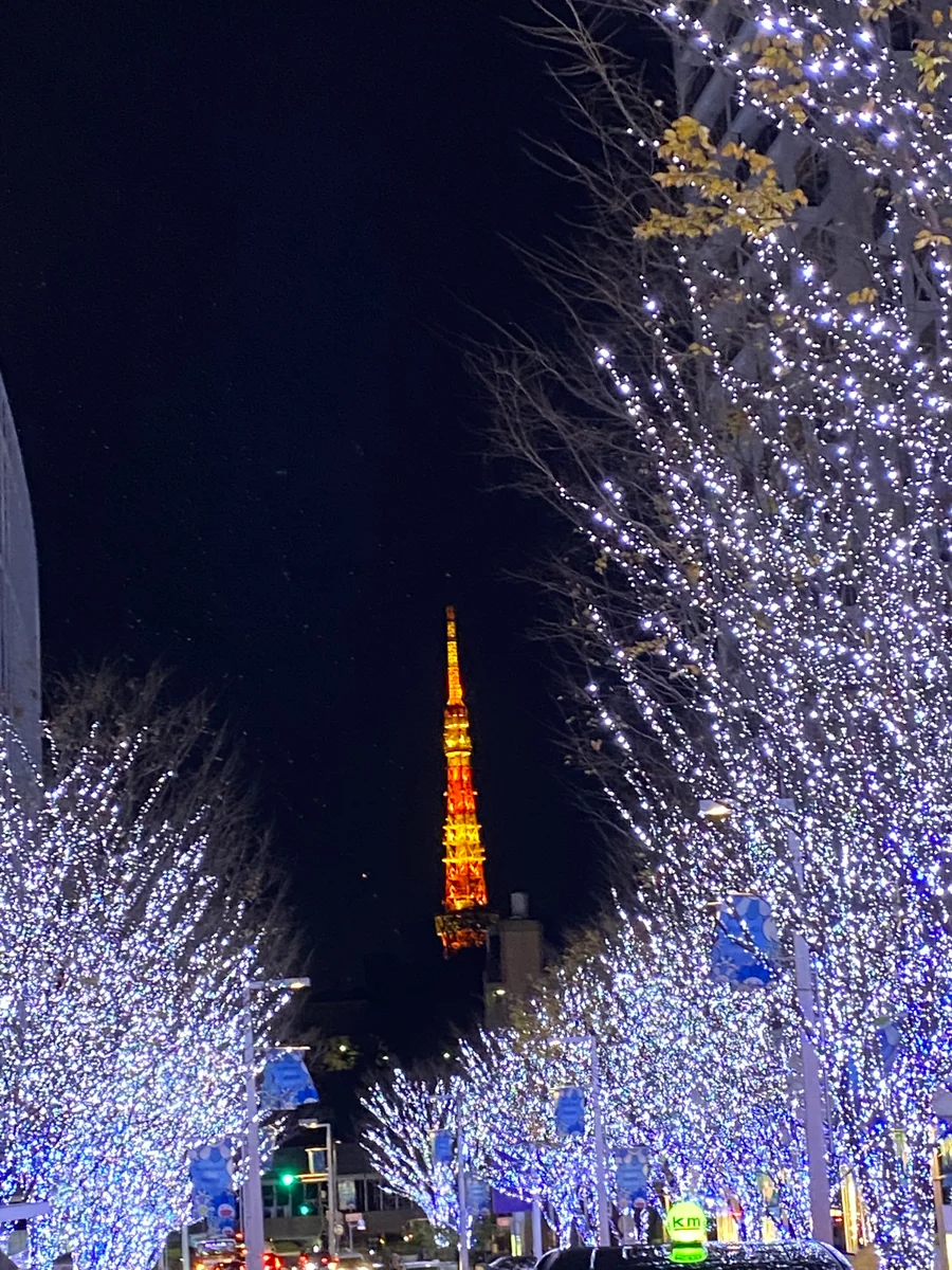 投稿写真：東京タワーのクリスマス