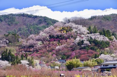 | 絶景事典
