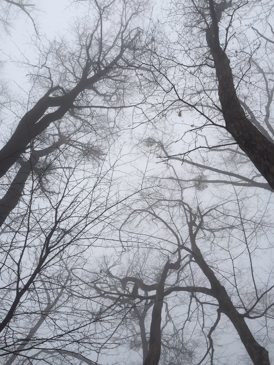 投稿写真：臥竜山