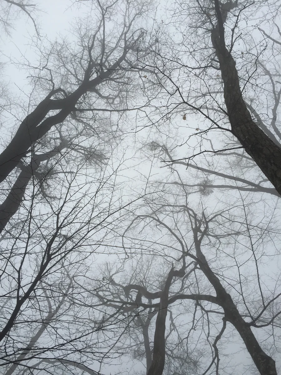 投稿写真：臥竜山