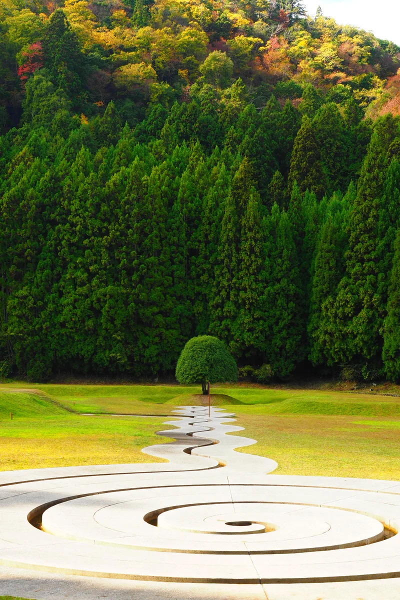 投稿写真：秋入りの渦巻き