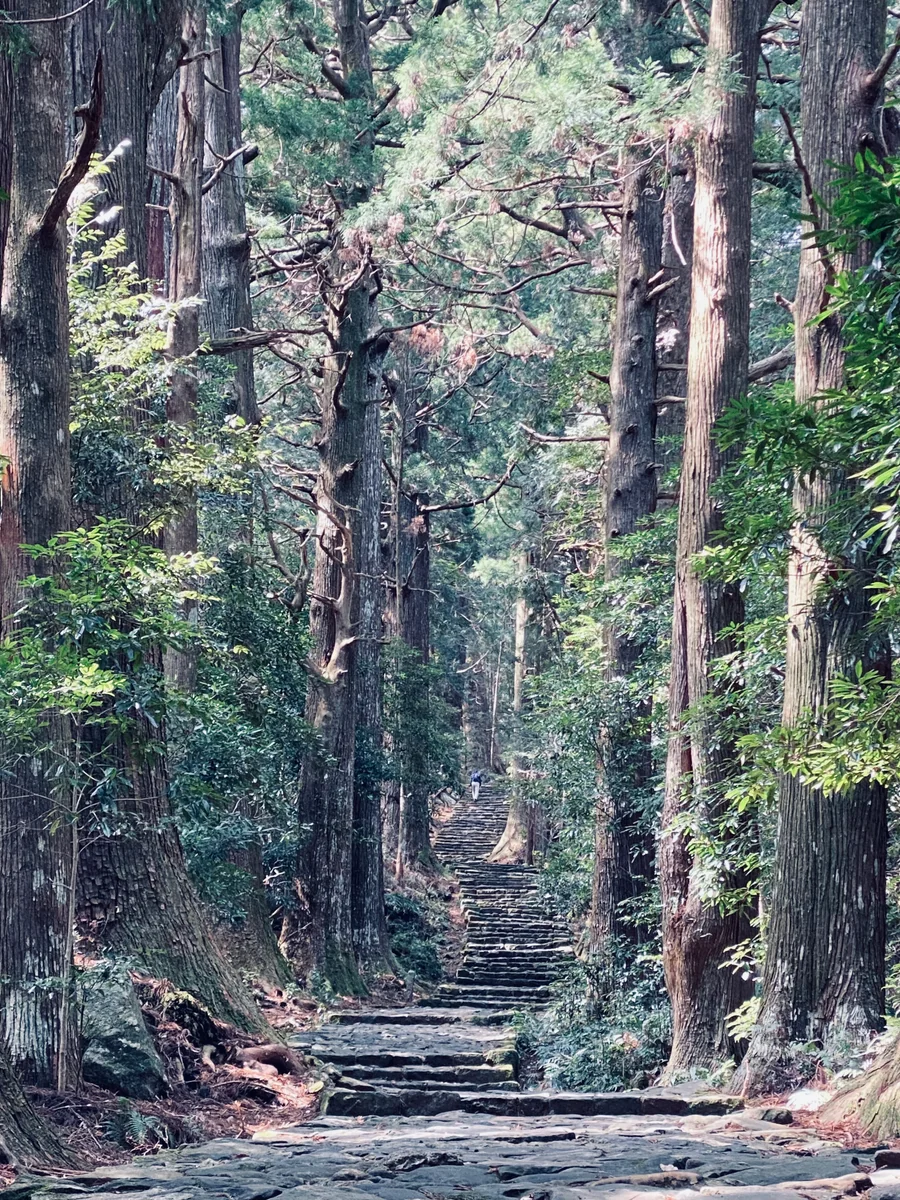 投稿写真：いにしえの参詣道 熊野古道 大門坂