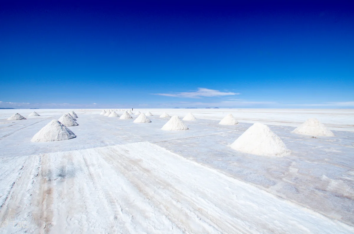 めろんぱんさんの投稿写真