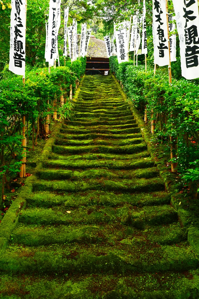 投稿写真：苔むした石段