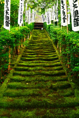  | 絶景事典