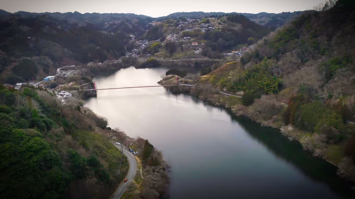 投稿写真：月ヶ瀬湖の吊り橋