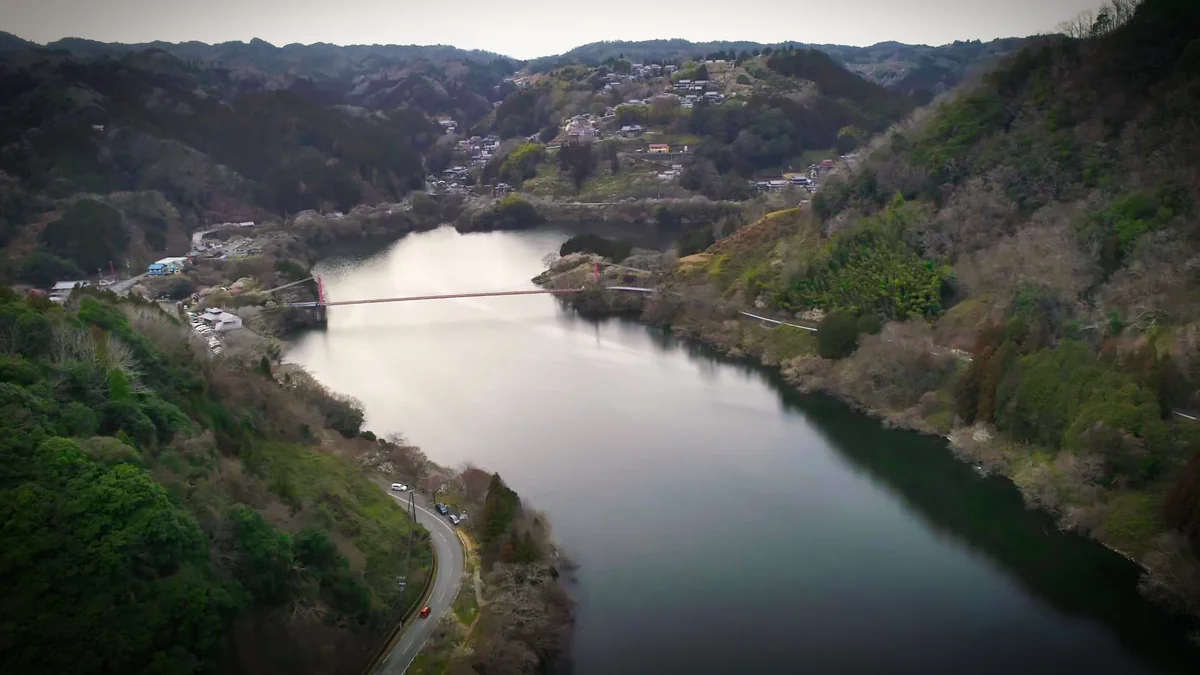 投稿写真：月ヶ瀬湖の吊り橋