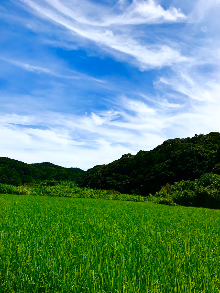 投稿写真：夢にまで出てきた理想郷