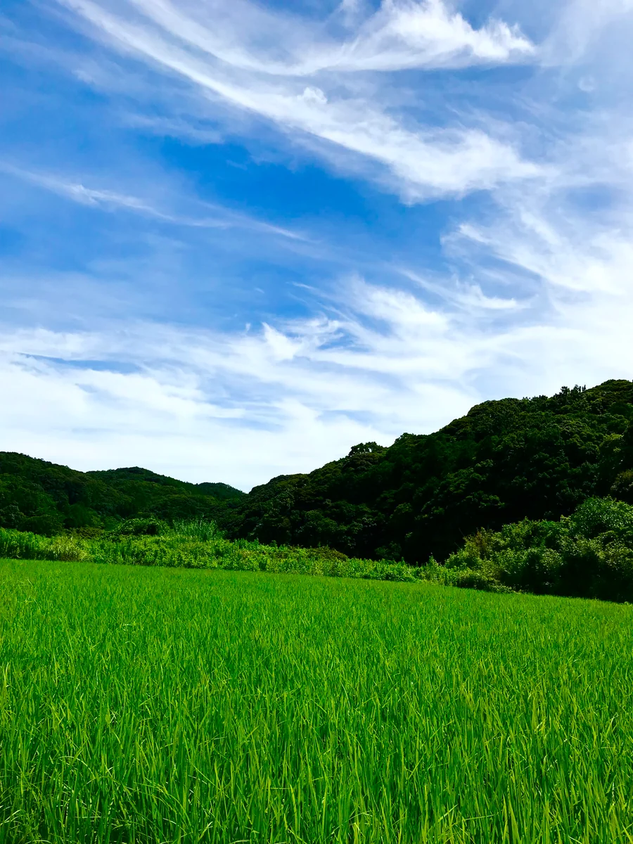 投稿写真：夢にまで出てきた理想郷