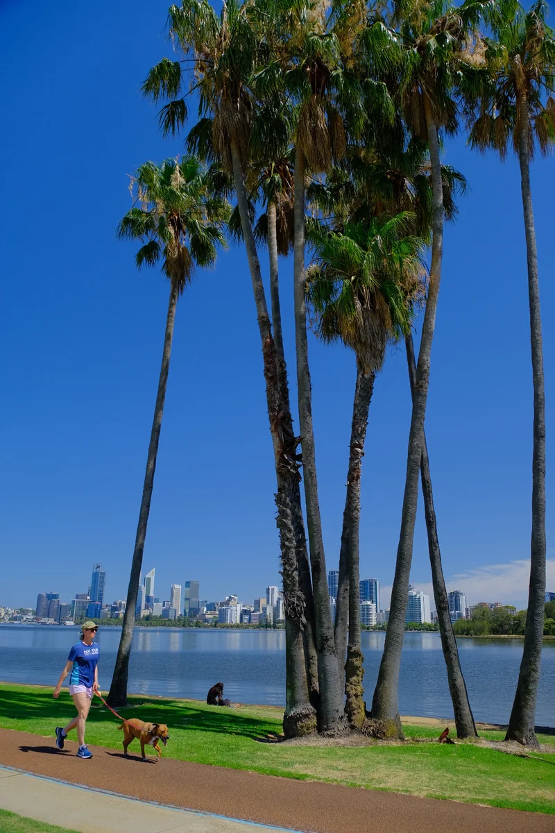 投稿写真：リバーサイドウォーク