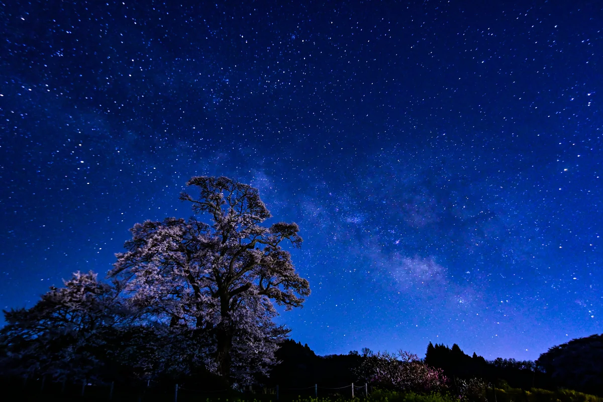 投稿写真：星降る夜