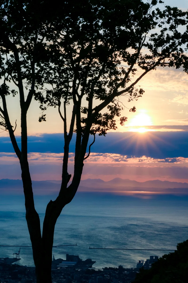投稿写真：小樽市天狗山から見える朝焼け。