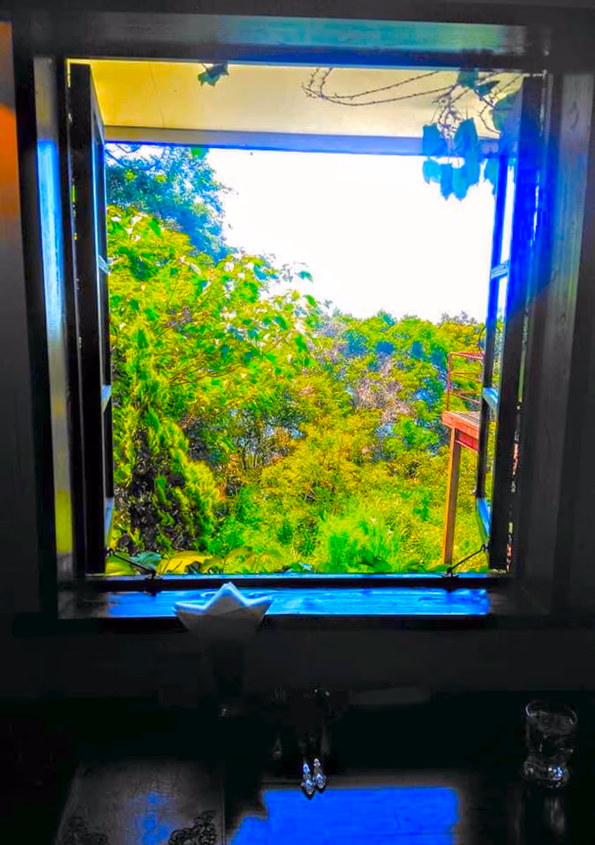 投稿写真：窓の向こうに見える景色