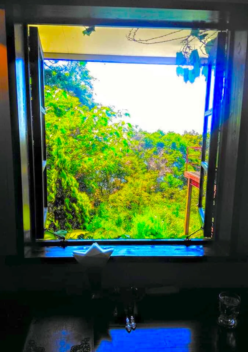 投稿写真：窓の向こうに見える景色