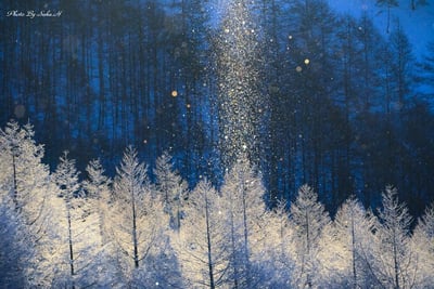 聖なる夜に見たい！ロマンチックな冬の絶景メイン画像