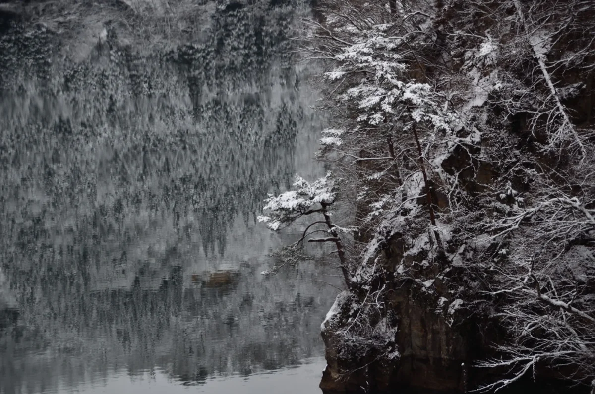 投稿写真：反射