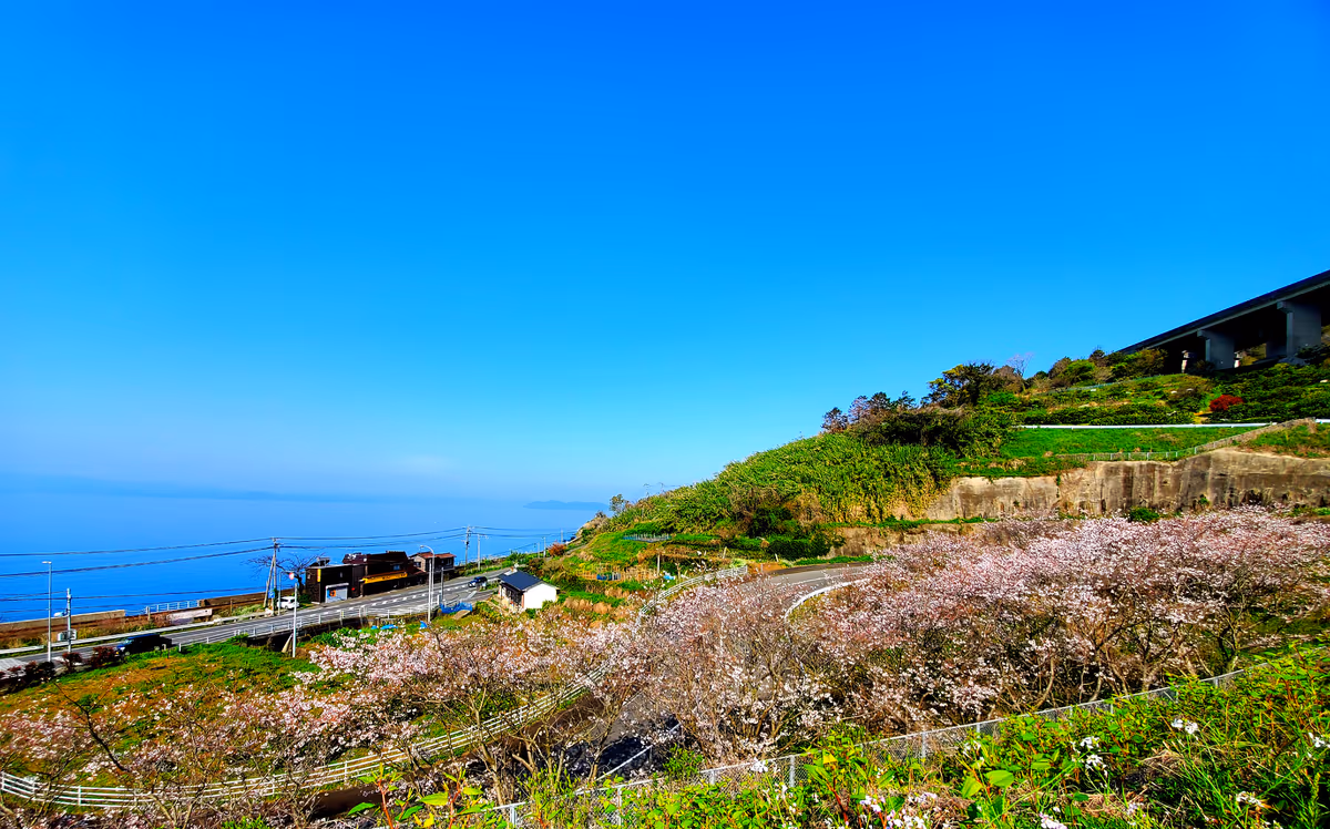 投稿写真：大村湾
