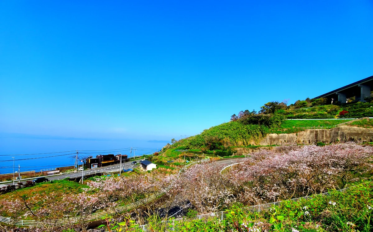 投稿写真：大村湾