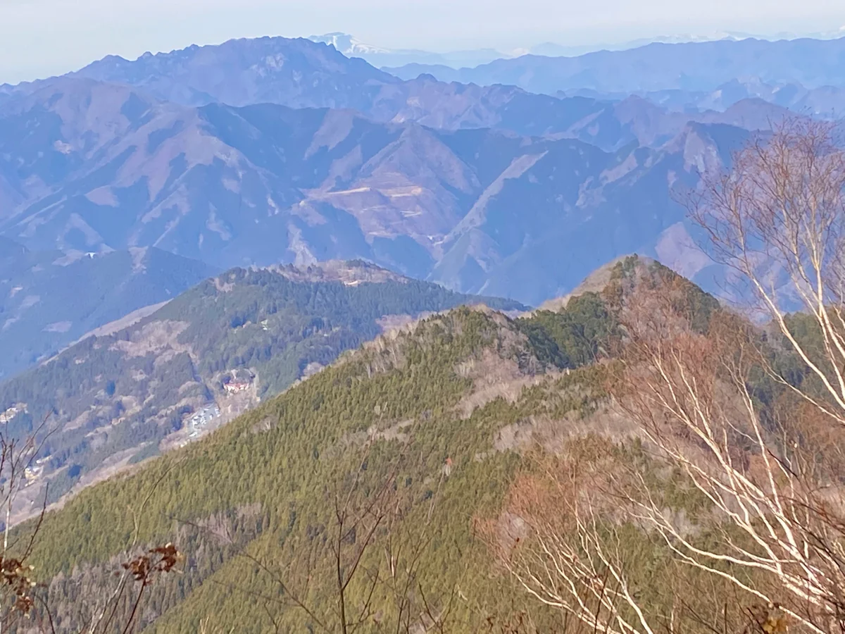 投稿写真：霧藻ヶ峰
