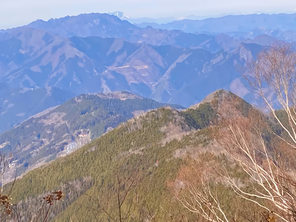 投稿：霧藻ヶ峰