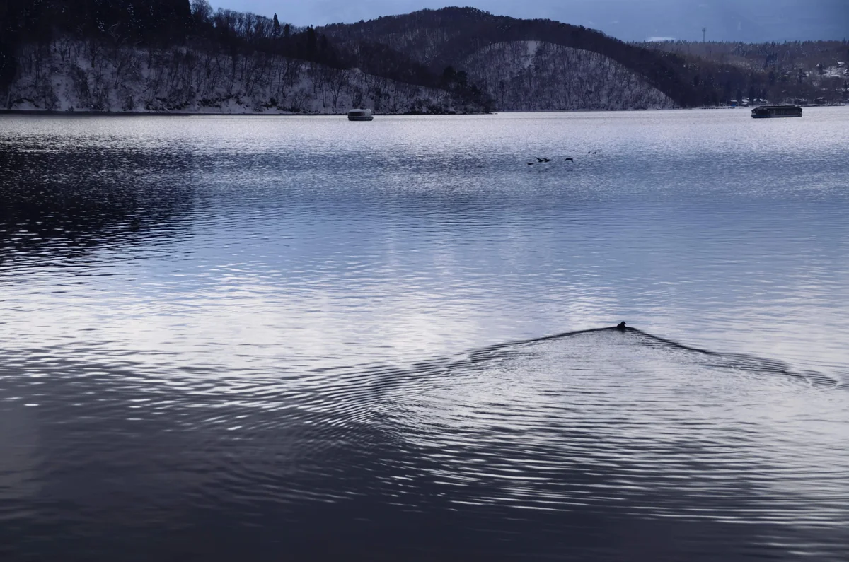 投稿写真：波紋　冬の野尻湖
